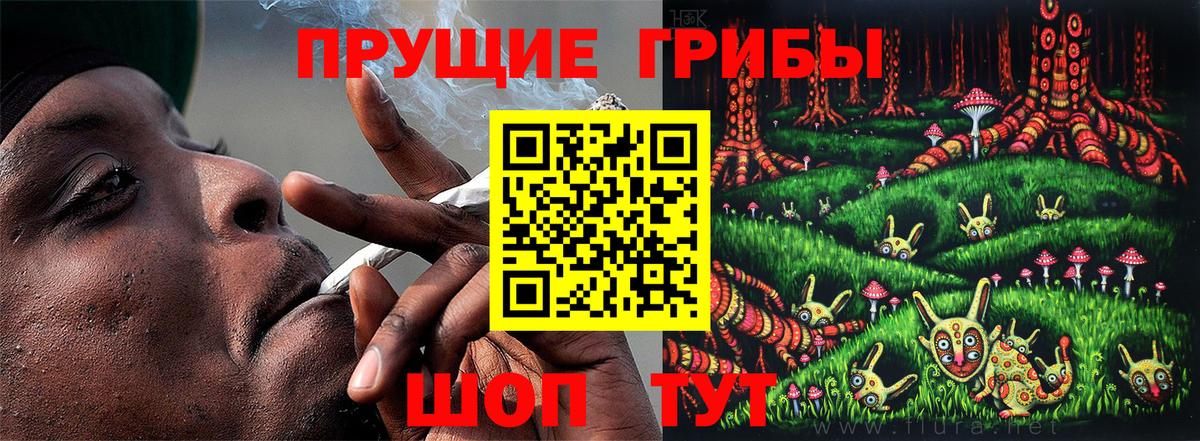 Галлюциногенные грибы Psilocybine cubensis Заводоуковск