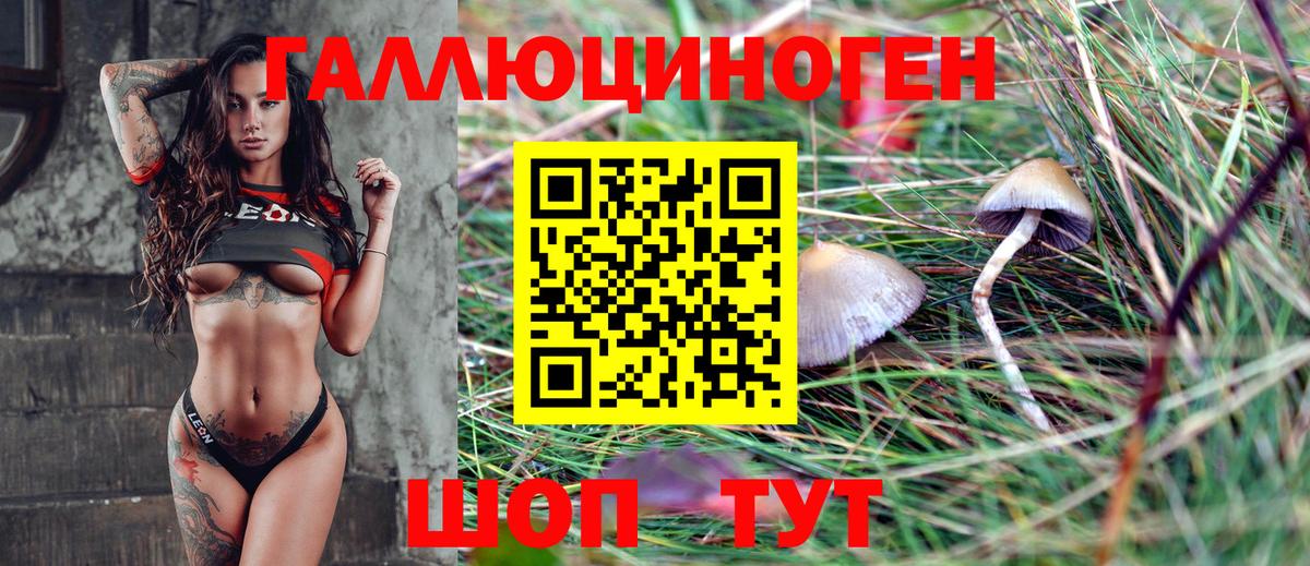 Псилоцибиновые грибы MAGIC MUSHROOMS  Псилоцибиновые грибы мицелий  Вход с VPN  Заводоуковск 